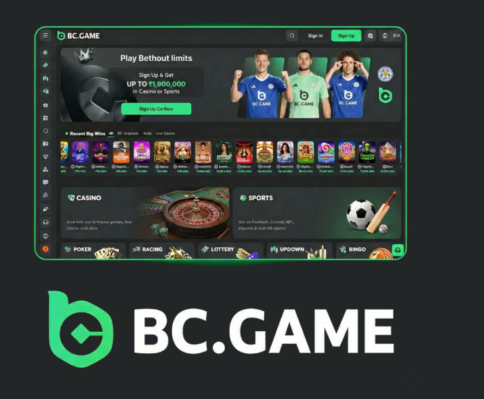 Explore the Exciting Features of BCGameBet NG App